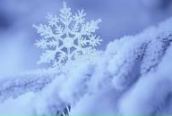 Фотография Рыбиной Елены