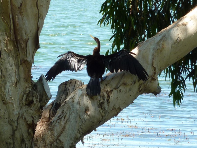 Елизавета Матвеенко фотография #25