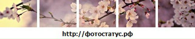 Наталя Шимків фотография #46 (источник - https://vk.com/id67127672)