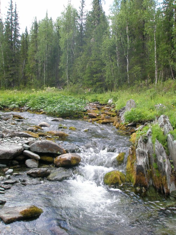 Дмитрий Луценко фотография #12