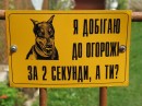 Ігор Пиляк фотография #43 (источник - https://vk.com/id67764963)