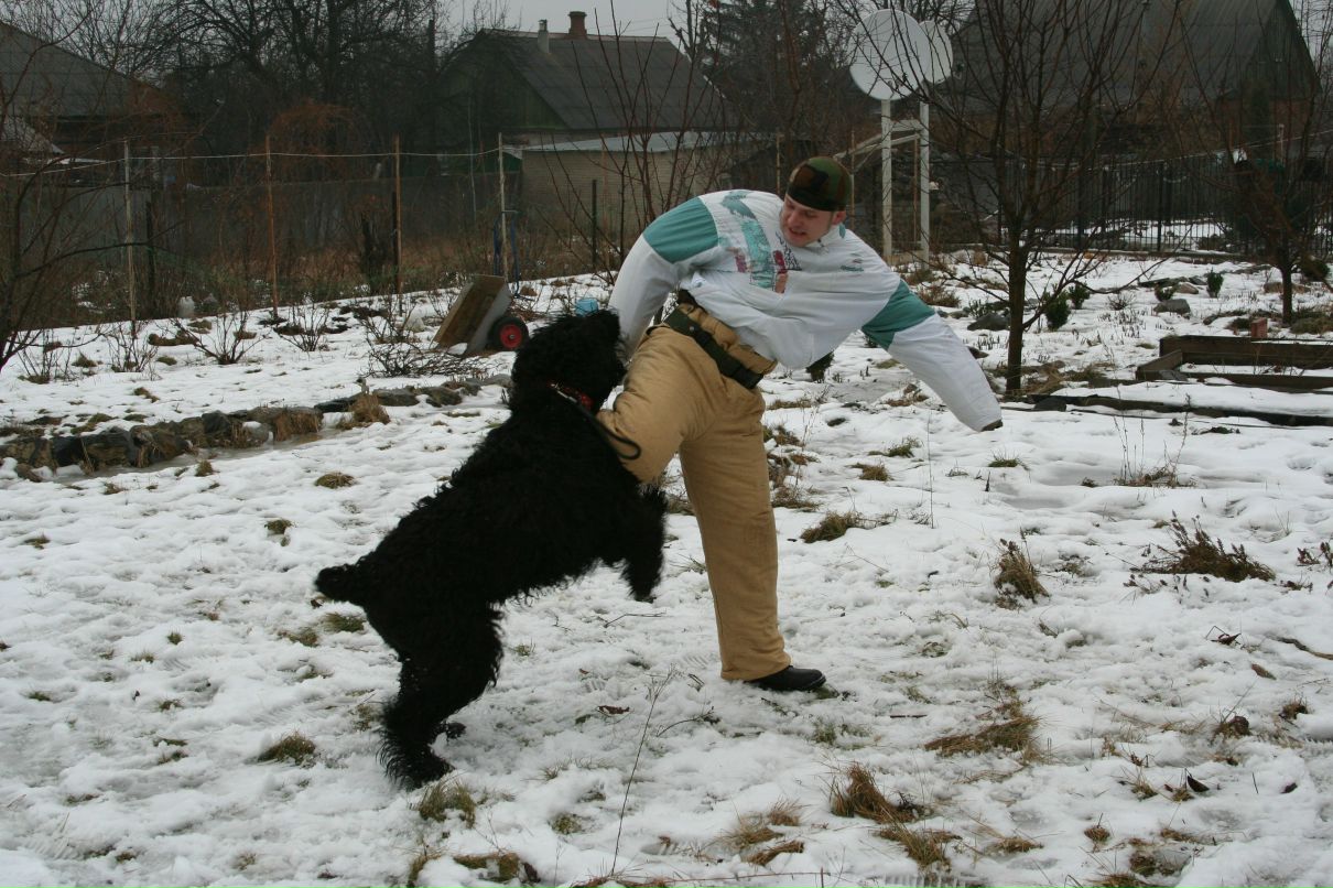 Сергей Пересунчак фотография #26