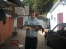 Ірина Плисюк фотография #32 (источник - https://vk.com/id159371209)