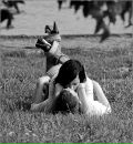 Анічка Погинайко фотография #27 (источник - https://vk.com/id155246773)