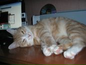 Фотография Kushnarev Oleg