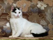 Фотография Ильенко Екатерины