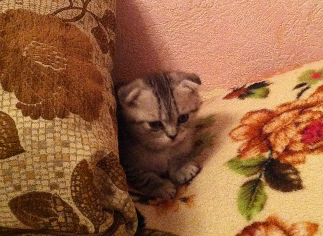 Сергей Данильченко фотография #48