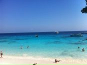 Елена Салихова фотография #39 (источник - https://vk.com/id13954324)