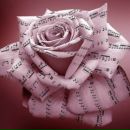 Діаночка Мокар фотография #19 (источник - https://vk.com/id146291647)