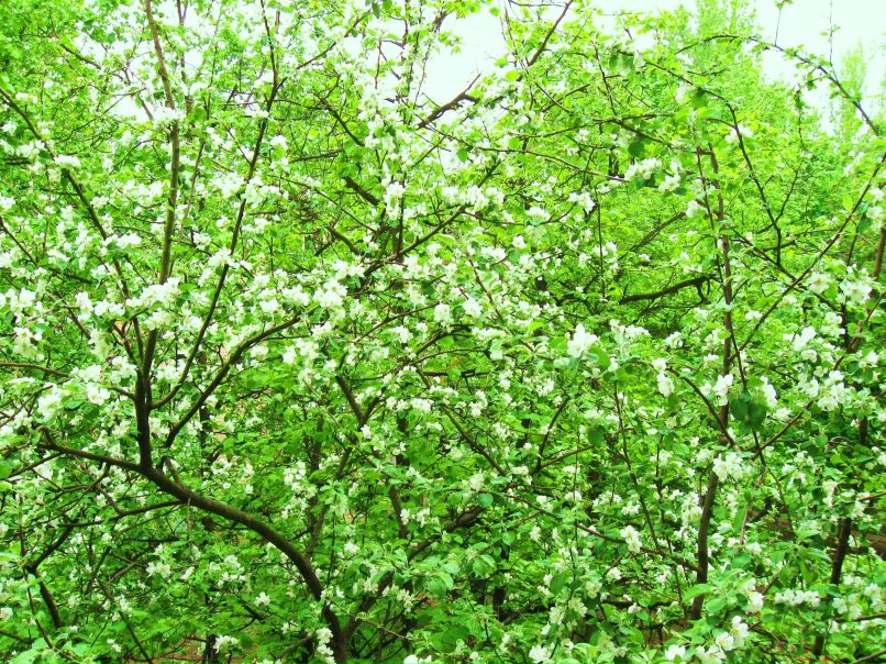 Иван Бителёв фотография #41