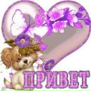 Віталік Нуцковський фотография #29 (источник - https://vk.com/id159585644)