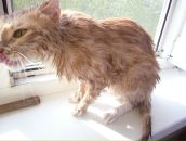 Фотография Савельевой Екатерины