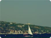 Дмитрий Додон фотография #17 (источник - https://vk.com/id1244633)