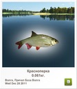 Діма Мікулеску фотография #40 (источник - https://vk.com/id148218934)