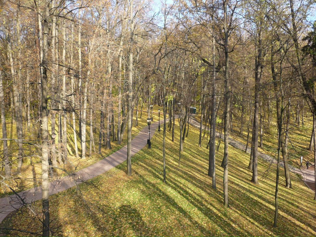 Виктор Цаллаев фотография #32