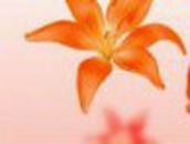 Ліда Лук'янчук фотография #5 (источник - https://vk.com/id71136342)