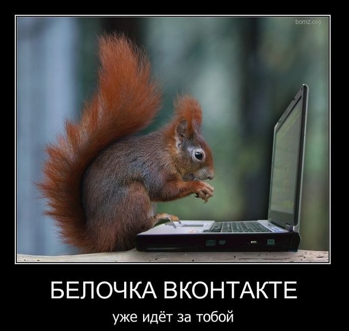 Игорь М фотография #1