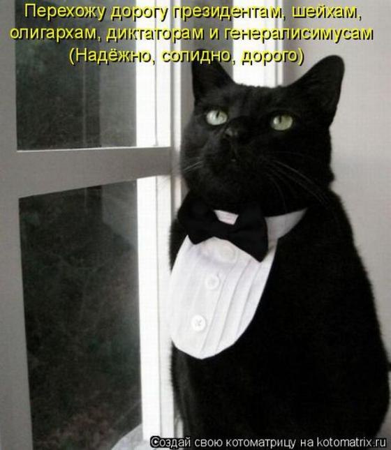 Станислав Моисеев фотография #35