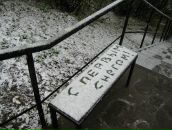 Фотография Сомовой Екатерины