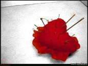 Іра Гаврищак фотография #46 (источник - https://vk.com/id27622189)