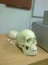 ..::катюша ::.. фотография #7 (источник - https://vk.com/id126129844)