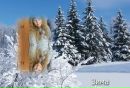 Вікуся Капітан фотография #35 (источник - https://vk.com/id161775715)