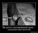 Оксана Калиниченко фотография #35 (источник - https://vk.com/id2298249)