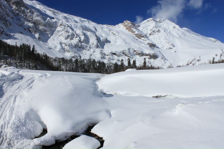 Антон Киселенко фото №30