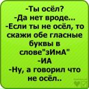 Світусік Лещишин фотография #40 (источник - https://vk.com/id124665173)