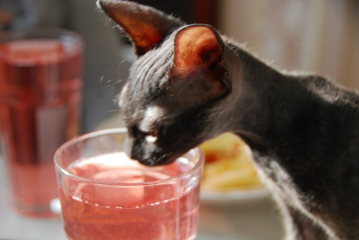 Даниил Стариченко фотография #38