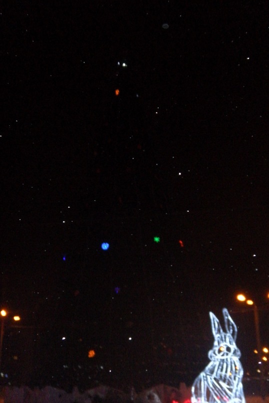 Дмитрий Хомяков фотография #50