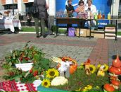 Наталія Кошка фотография #25 (источник - https://vk.com/id55018463)