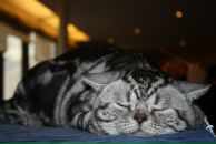 Дарья Моо фотография #31 (источник - https://vk.com/id2348127)