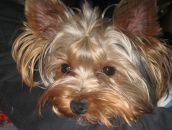 Фотография Шайн Ксении