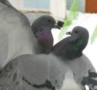 Фотография Горской Лены