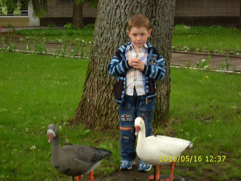 Дмитрий Суровцев фотография #10