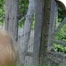 Анастасія Мазур фотография #50 (источник - https://vk.com/id70798541)