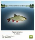Діма Стасишин фотография #24 (источник - https://vk.com/id19819127)
