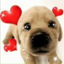 Фотография Гетто Екатерины