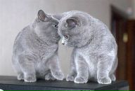 Фотография Serega Serega