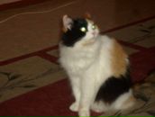 Фотография Минаевой Анны