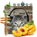 Alex Fox фотография #45 (источник - https://vk.com/id40662)