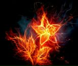 Фотография Хруслова Даниила