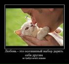 Фотография Спирин Игореша