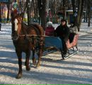 Евгений Фролов фотография #40 (источник - https://vk.com/id90847264)