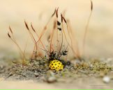 Андрей Пилаєв фотография #13 (источник - https://vk.com/id78648932)