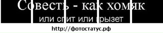 Сергій Ярмоленко фотография #38 (источник - https://vk.com/id67930740)