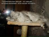 Сергій Сваржевський фотография #16 (источник - https://vk.com/id29848294)