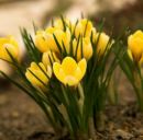 Ірина Безпалко фотография #41 (источник - https://vk.com/id160606820)