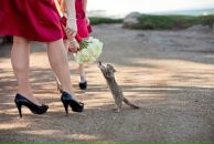 Фотография Козловой Екатерины